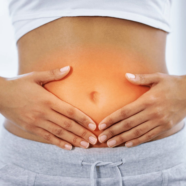 Gut Health